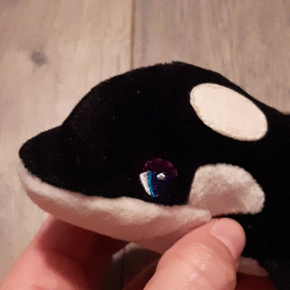1998 Lisa frank max splash killer whale beanie baby - Picture 2 of 6